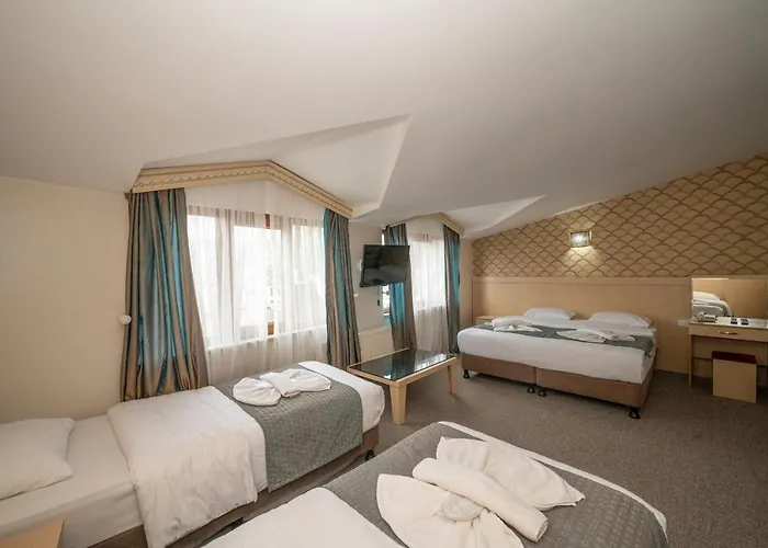 ホテル メルタ 3*