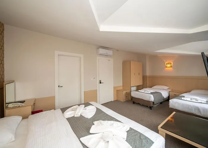 ホテル メルタ 3*