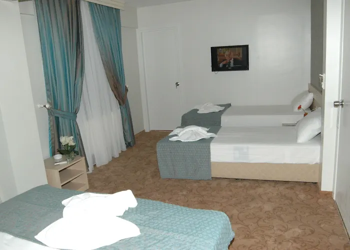 メルタ ホテル 3*